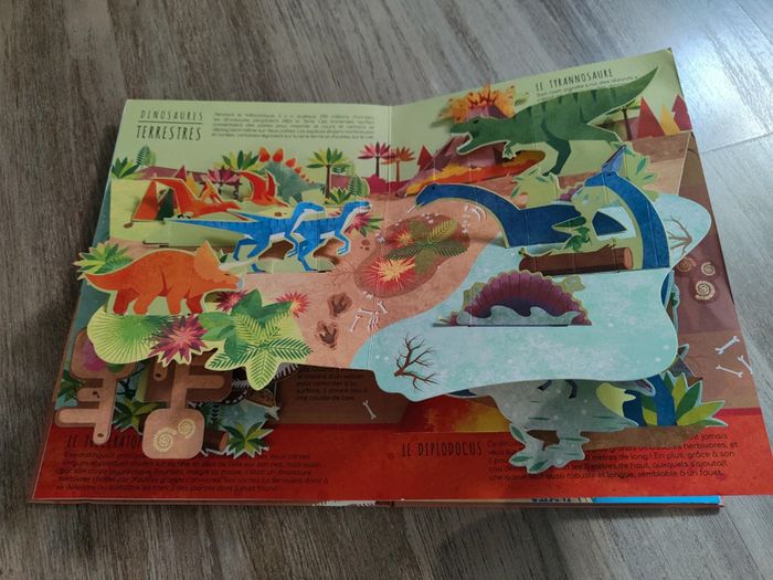 Livres dinosaures illustrés - photo numéro 2