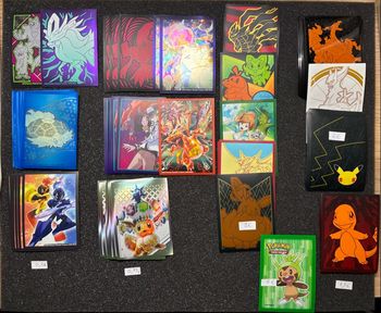 Sleeves Pokémon