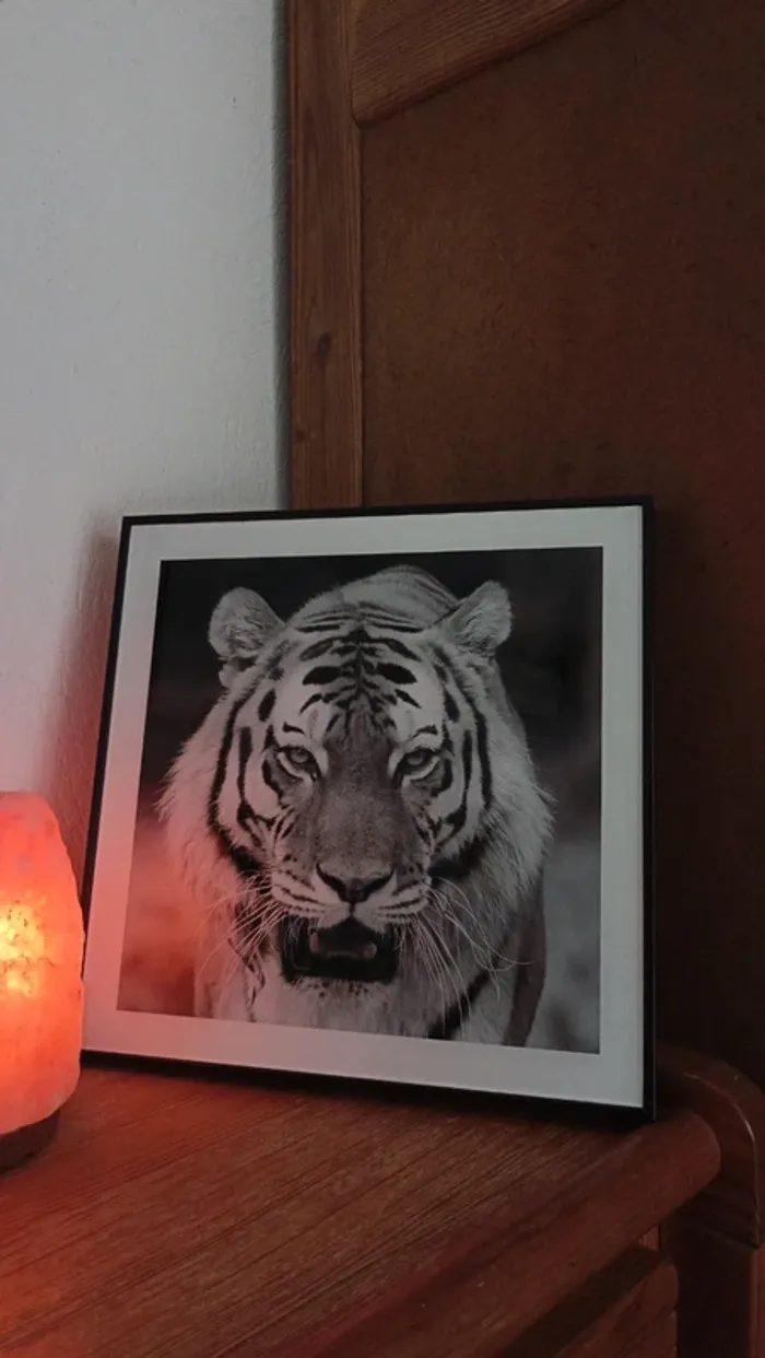 Tableau Black & White Tigre