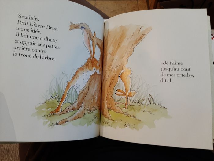 Livre  "Devine combien je t'aime" - photo numéro 3