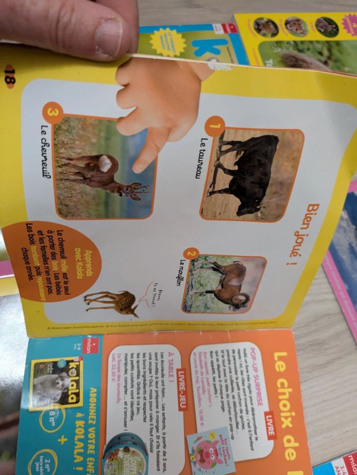 Lot de 12 magazines koala 1-4 ans et albums - photo numéro 7