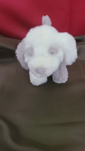 Peluche chiot The Little White Company, doudou gris et blanc