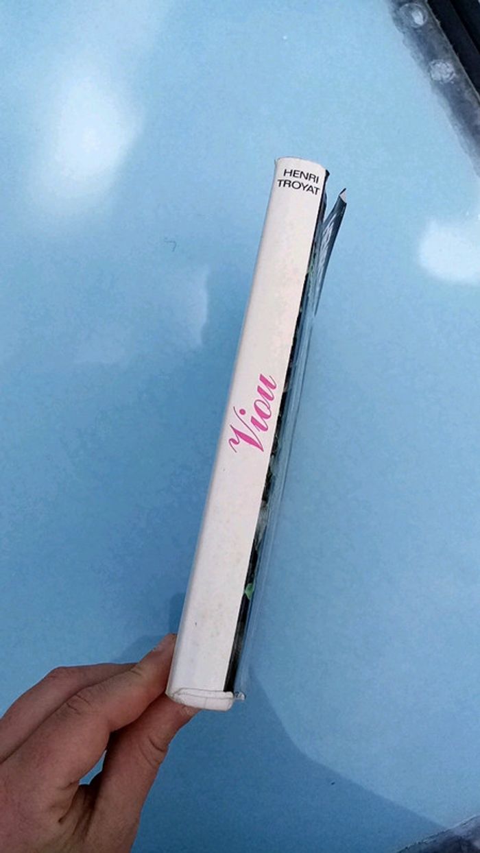 Viou academie française - photo numéro 3