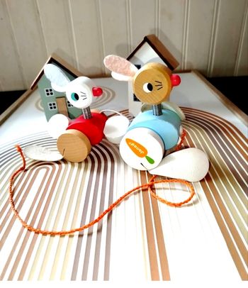 🟠 Janod Family Lapins à promener