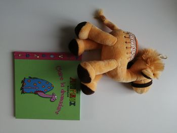 livre et peluche dromadaire