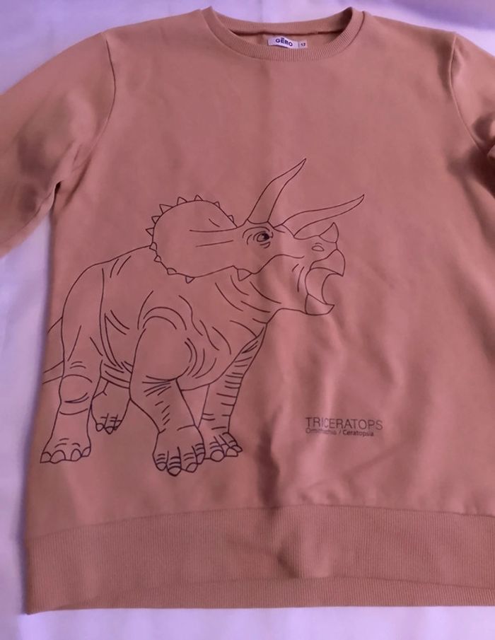 Pull triceratops. - photo numéro 2