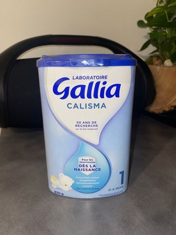 Gallia calisma 1