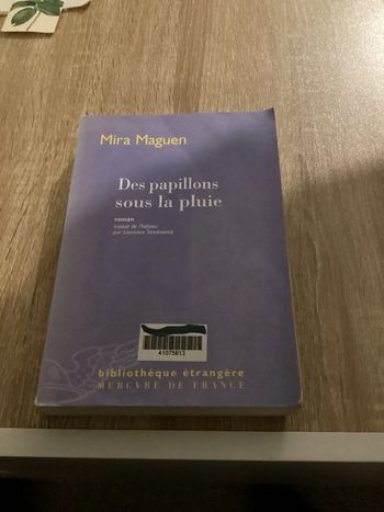 Roman « des papillons sous la pluie »