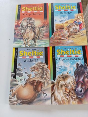 Lot 4 livres sheltie