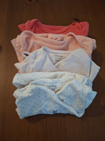 Lot 4 bodies