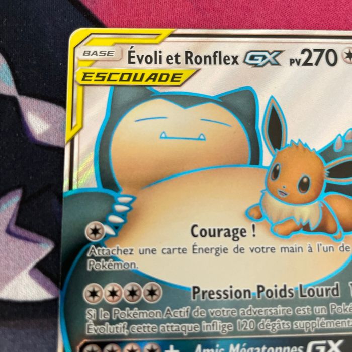 Evoli et ronflex escouade - photo numéro 5
