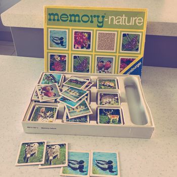 Jeux memory nature