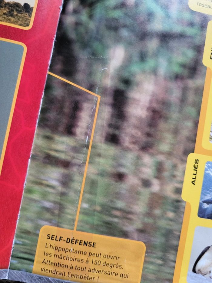 Livre documentaire enfants Zoom sur les animaux d'Afrique - photo numéro 16