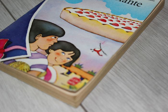La tarte volante - photo numéro 5