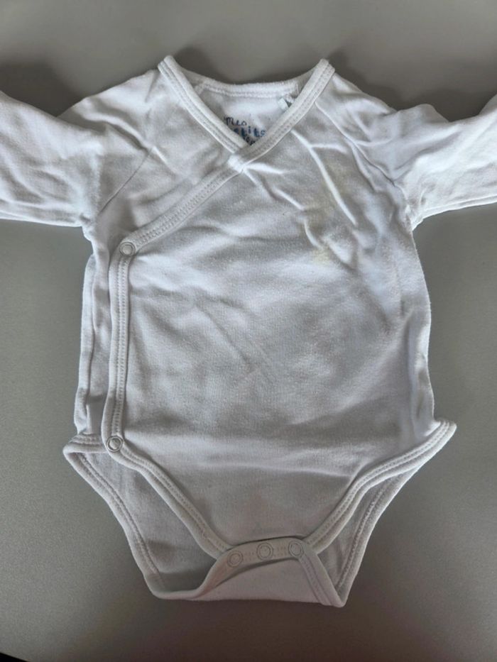 Lot 3 Bodies renard 6m mixte - photo numéro 3