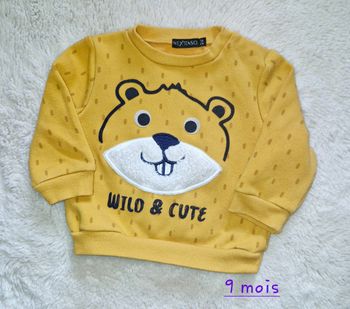 Très joli pull garçon 9 mois