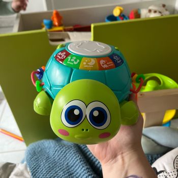 Tortue musicale et lumineuse