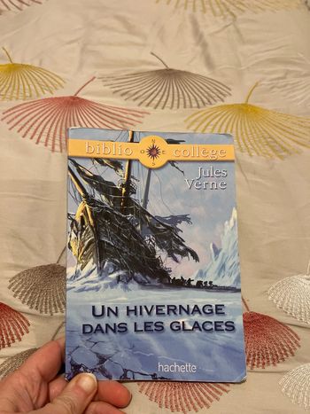 Livre Un hivernage dans les glaces Jules Vernes