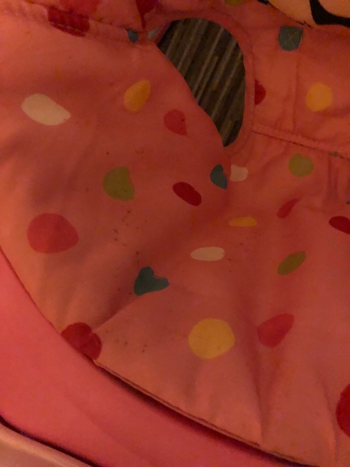 Troteur minnie - photo numéro 4