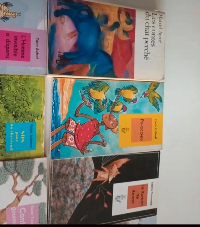 Livres pour enfants , romans jeunesse - photo numéro 5