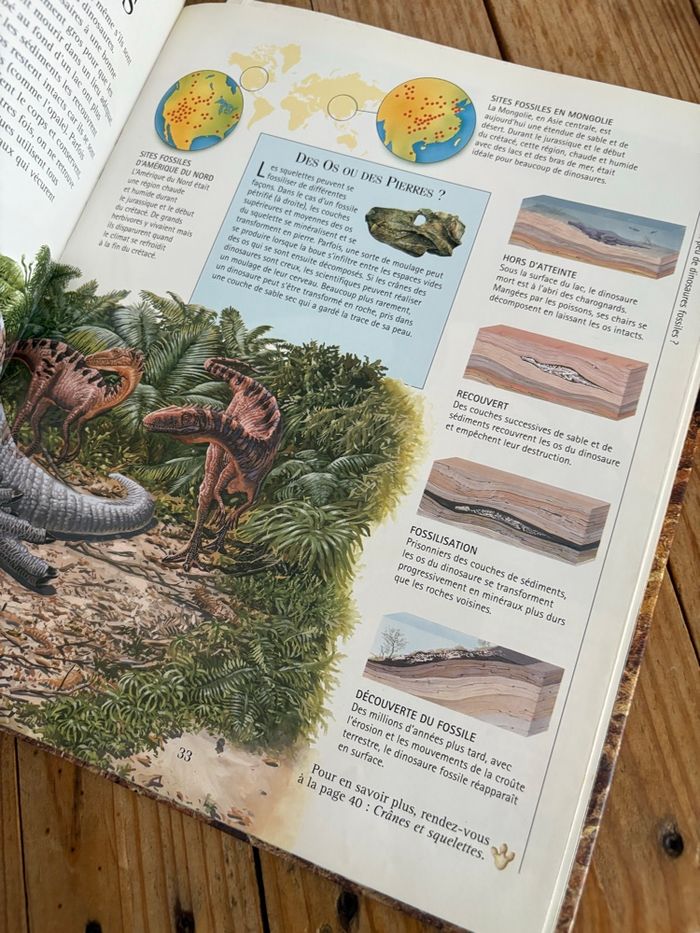 Les dinosaures - photo numéro 5