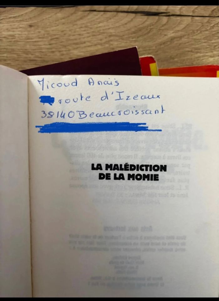 Lot de 4 Livres de la Collection Chair de Poule Enfants-Ados/Possibilité de prendre à l’unité - photo numéro 6