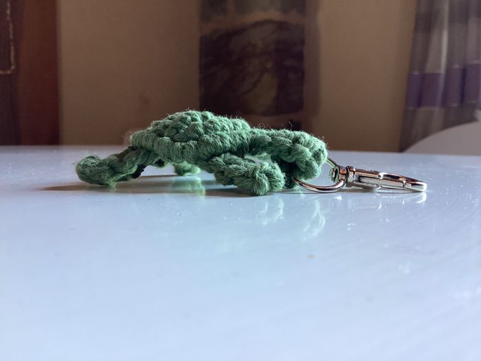 Tortuga - photo numéro 4