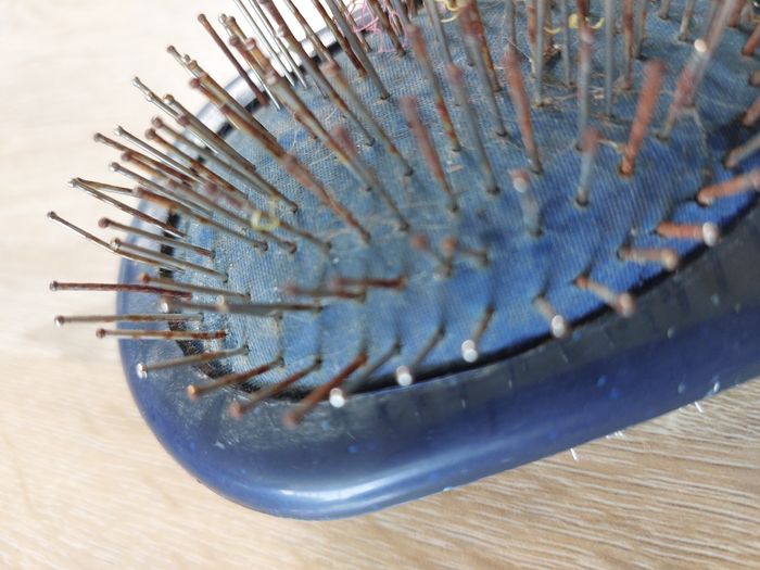 Brosse chat ou chien - photo numéro 4