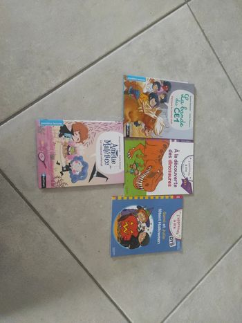 Lot de livres premières lectures ce1