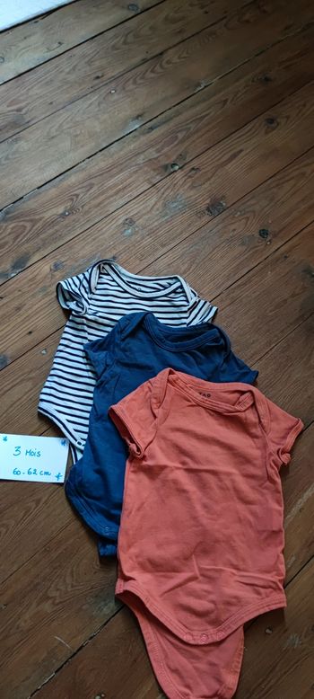 Lot de 3 bodies manches courtes TAO