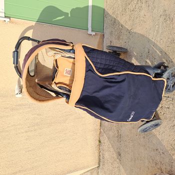 poussette multipositions