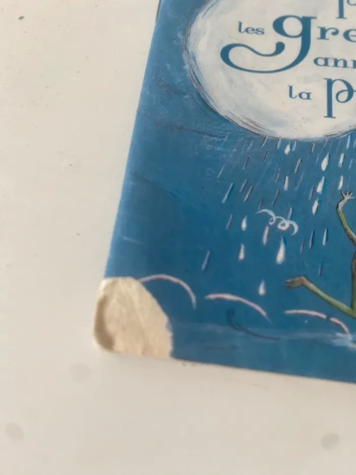 Pourquoi les Grenouilles annoncent-elles la pluie ? - Père Castor - photo numéro 4