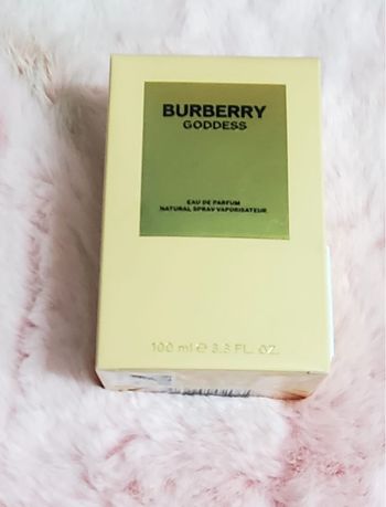Burberry godess