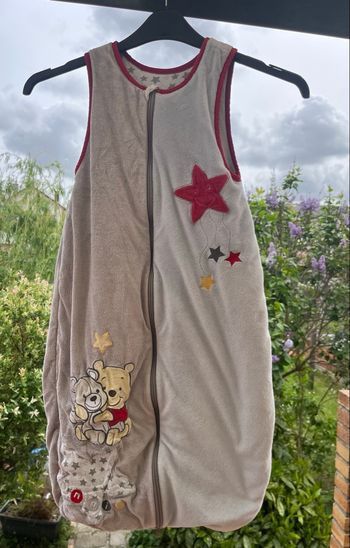 Turbulette Winnie Disney 