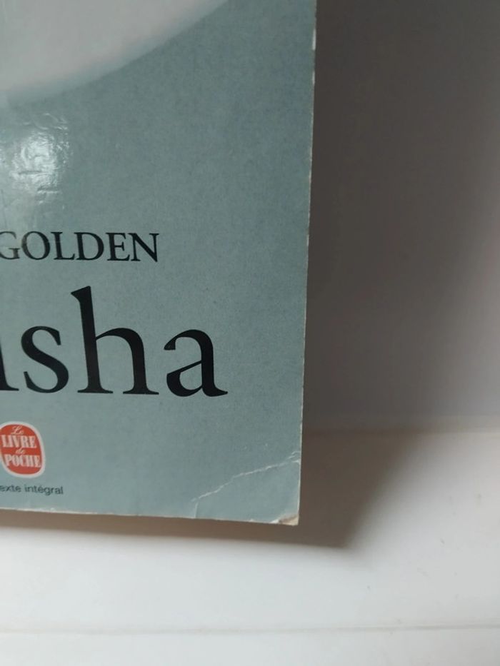 Geisha - photo numéro 4