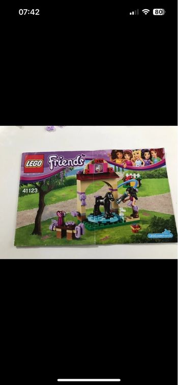 Lego Friends  41123