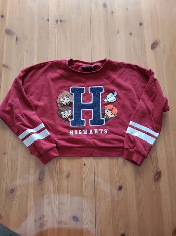 Pull court harry potter