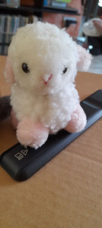 Peluche agneau