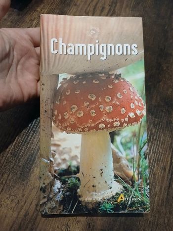 Livre Champignons