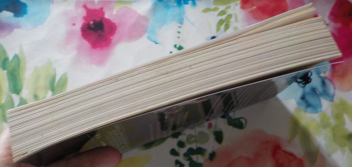 127 Heures L'histoire vraie qui a inspiré Danny Boyle - photo numéro 4