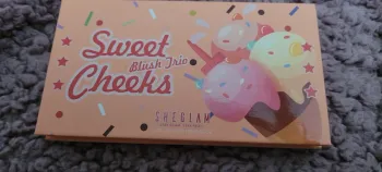 Palette teint sheglam