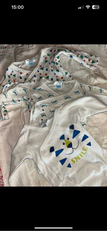 Lot 3 bodies