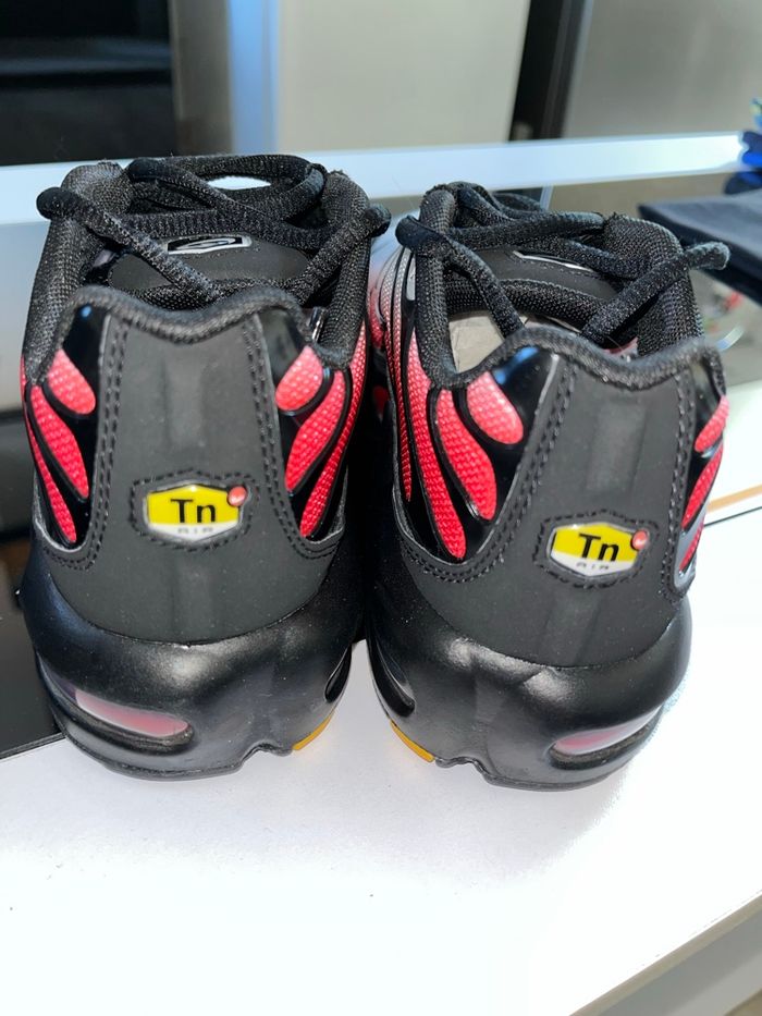 Tn neuve - photo numéro 3