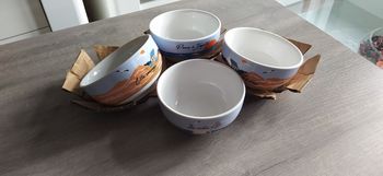 4 bols Françoise saget neufs