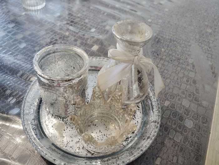 Photophores - photo numéro 3