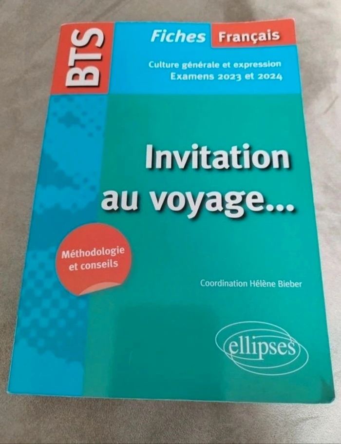 Lot de livre Initiation au voyage - photo numéro 2
