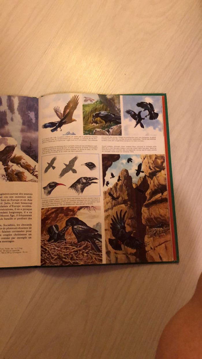 La vie secrète des bêtes dans les montagnes - photo numéro 3