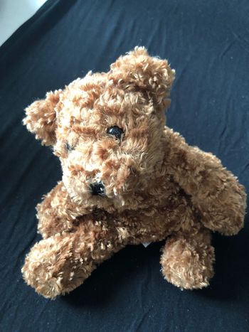 Chien doudou Anna club plush