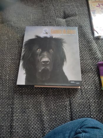 Livre photo gueule de chiens