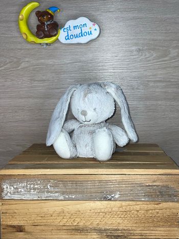 TEX26 doudou lapin 🐰 tex